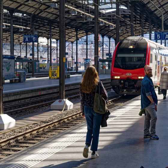 Today in Switzerland, 21 billions of passenger kilometres yearly are travelled by rail, further growth is to be expected. hpo supported a Swiss rail company in developing a transparent basis for a strategic decision regarding the outsourcing of a specific value creation stage. 